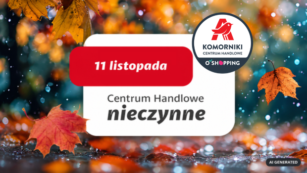 Komorniki 11.11 - 620.png